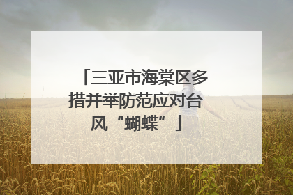 三亚市海棠区多措并举防范应对台风“蝴蝶”