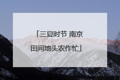 三夏时节 南京田间地头农作忙