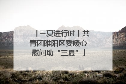 三夏进行时丨共青团睢阳区委暖心慰问助“三夏”