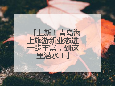 上新！青岛海上旅游新业态进一步丰富，到这里潜水！