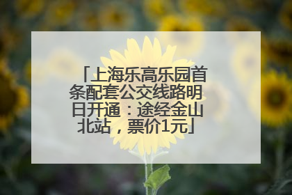 上海乐高乐园首条配套公交线路明日开通：途经金山北站，票价1元