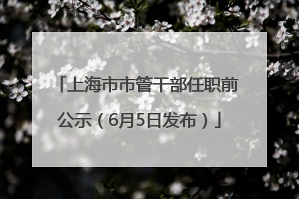 上海市市管干部任职前公示（6月5日发布）