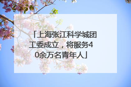 上海张江科学城团工委成立，将服务40余万名青年人