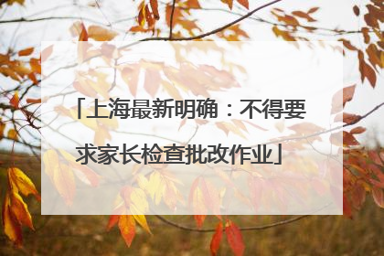 上海最新明确：不得要求家长检查批改作业