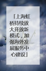 上海虹桥持续放大开放新模式，加强海外发展服务中心建设