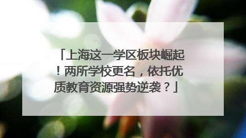 上海这一学区板块崛起！两所学校更名，依托优质教育资源强势逆袭？