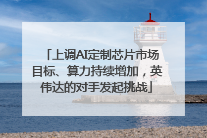 上调AI定制芯片市场目标、算力持续增加，英伟达的对手发起挑战