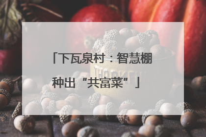 下瓦泉村：智慧棚种出“共富菜”