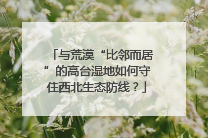 与荒漠“比邻而居”的高台湿地如何守住西北生态防线？