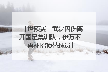 世预赛｜武磊因伤离开国足集训队，伊万不再补招顶替球员