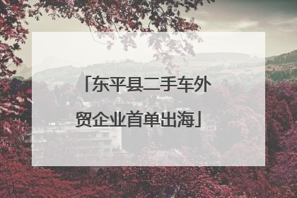 东平县二手车外贸企业首单出海