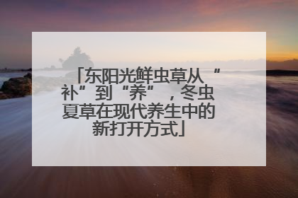 东阳光鲜虫草从“补”到“养”，冬虫夏草在现代养生中的新打开方式