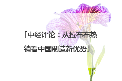 中经评论：从拉布布热销看中国制造新优势