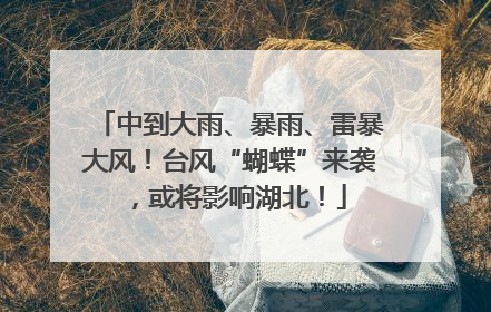 中到大雨、暴雨、雷暴大风！台风“蝴蝶”来袭，或将影响湖北！