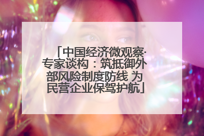 中国经济微观察·专家谈构：筑抵御外部风险制度防线 为民营企业保驾护航