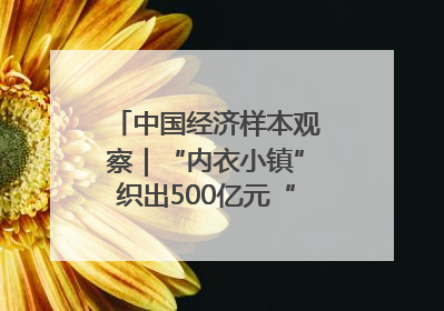 中国经济样本观察｜“内衣小镇”织出500亿元“里子产业”