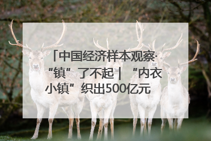 中国经济样本观察·“镇”了不起｜“内衣小镇”织出500亿元“里子产业”