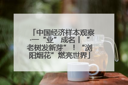 中国经济样本观察·一“业”成名丨“老树发新芽”！“浏阳烟花”燃亮世界