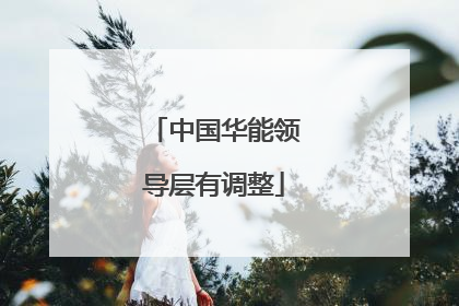 中国华能领导层有调整