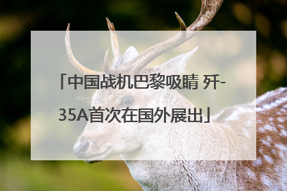 中国战机巴黎吸睛 歼-35A首次在国外展出