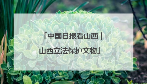 中国日报看山西｜山西立法保护文物