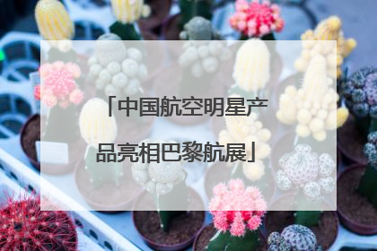 中国航空明星产品亮相巴黎航展