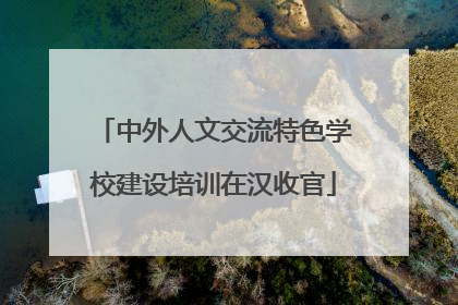 中外人文交流特色学校建设培训在汉收官