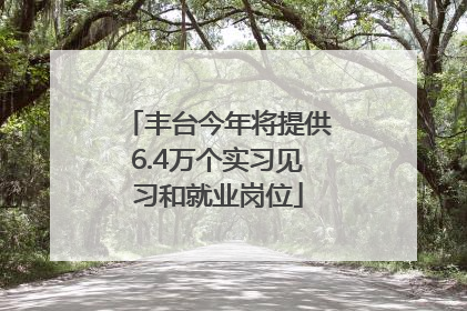 丰台今年将提供6.4万个实习见习和就业岗位