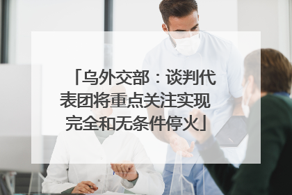 乌外交部：谈判代表团将重点关注实现完全和无条件停火
