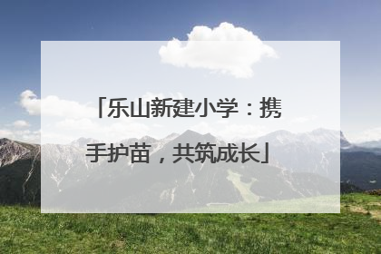 乐山新建小学：携手护苗，共筑成长