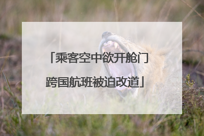 乘客空中欲开舱门 跨国航班被迫改道