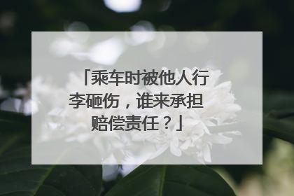 乘车时被他人行李砸伤，谁来承担赔偿责任？