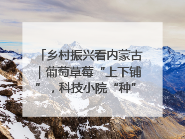 乡村振兴看内蒙古｜葡萄草莓“上下铺”，科技小院“种”出三倍效益