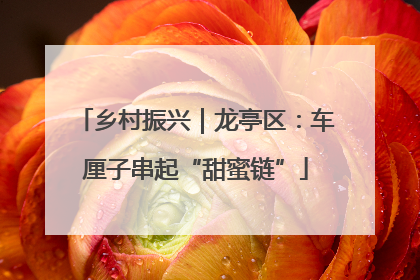 乡村振兴｜龙亭区：车厘子串起“甜蜜链”