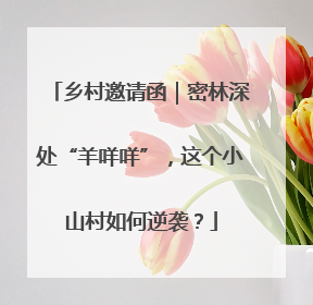 乡村邀请函｜密林深处“羊咩咩”，这个小山村如何逆袭？