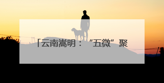 云南嵩明：“五微”聚民心“3456”筑基石，精治善治谱新篇