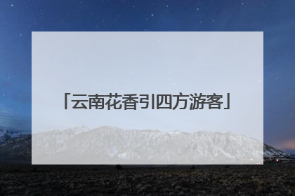 云南花香引四方游客