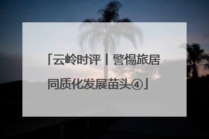 云岭时评丨警惕旅居同质化发展苗头④