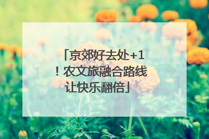 京郊好去处+1！农文旅融合路线让快乐翻倍