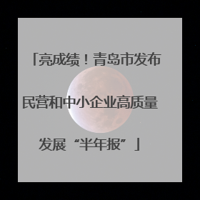亮成绩！青岛市发布民营和中小企业高质量发展“半年报”