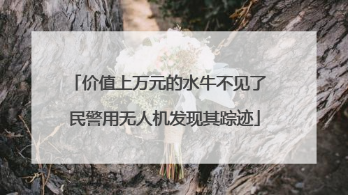 价值上万元的水牛不见了 民警用无人机发现其踪迹