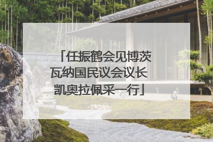 任振鹤会见博茨瓦纳国民议会议长凯奥拉佩采一行