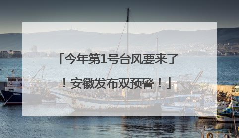 今年第1号台风要来了！安徽发布双预警！