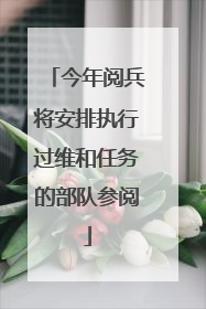 今年阅兵将安排执行过维和任务的部队参阅