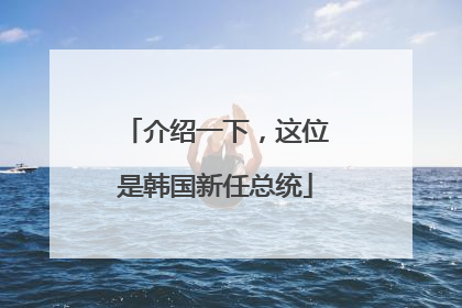 介绍一下，这位是韩国新任总统