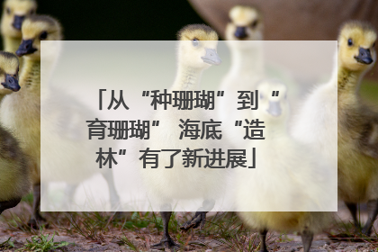 从“种珊瑚”到“育珊瑚” 海底“造林”有了新进展