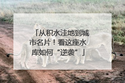 从积水洼地到城市名片！看这座水库如何“逆袭”
