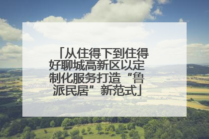 从住得下到住得好聊城高新区以定制化服务打造“鲁派民居”新范式
