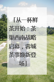 从一杯鲜茶开始：茶巢西南战略启幕，蓉城茶事焕新登场