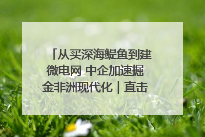 从买深海鳀鱼到建微电网 中企加速掘金非洲现代化｜直击中非经贸博览会